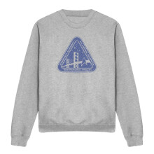 (L, Sport Heather) Star Trek Unisex Adult Distressed Logo Sweatshirt