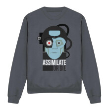 (L, Charcoal) Star Trek Unisex Adult Assimilate or Die Sweatshirt
