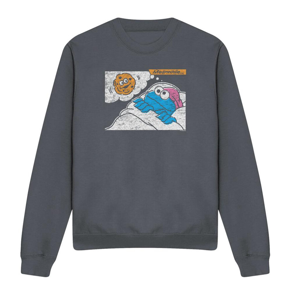 Sesame Street (Xl, Charcoal) Unisex Adult Meanwhile Sweatshirt Multicoloured