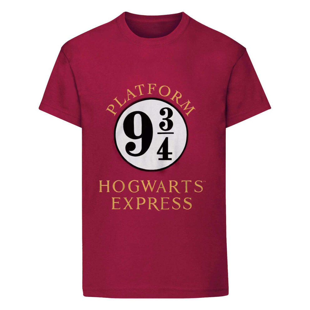 Harry Potter (12-13 Years, Maroon) Childrens/Kids Hogwarts Express T-Shirt