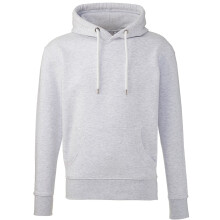 (XL, Ash) Anthem Unisex Adult Organic Hoodie