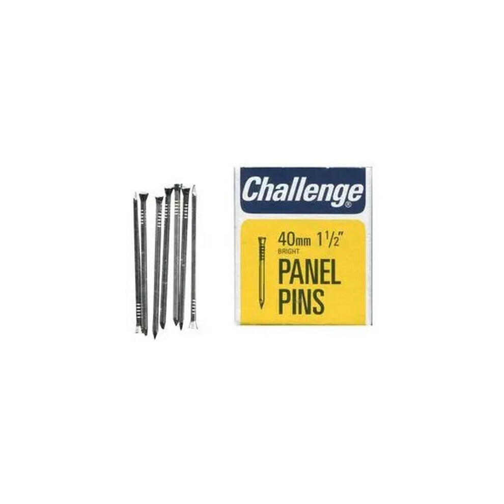 Challenge (40Mm, Steel) Steel Panel Pin Nails (Pack Of 24)