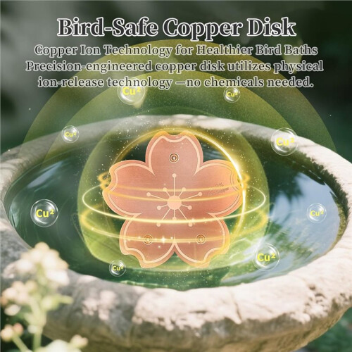 Pure Copper Bird Bath Disk, Triple Point Support Design Lower Cleaning Frequency (1, Copper Flower) 2