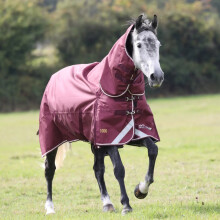 (6', Maroon) Highlander Plus Combo Neck 100g Horse Turnout Rug