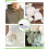 Drawstring Sewing Tool Kit -Circular Sewing Tools for Easy Threading of Hoodies, and Pants, Drawstring and Sewing Tools. 6