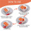 50pcs Cable Connectors, Lever-Operated Cable Connectors, 3-Pole Electrical Terminal Blocks, Quick-Connect Terminals 5