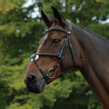 (Warmblood, Black) Collegiate Comfitec Grackle Leather Horse Bridle
