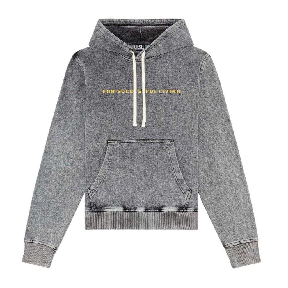 Diesel (L, Faded) Mens Logo Hoodie Grey