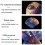 K850 Led Dinosaur Egg Compatible Remote Control Bluetooth Starry Sky Projector With Speaker Function (Artist) :Artist Surprise Gift 7