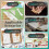 20 Pcs Bone Folder Tool - Plastic Bone Folder Paper for Card Making, Leather Cards, DIY Handmade Burnishing, Bookbinding 6