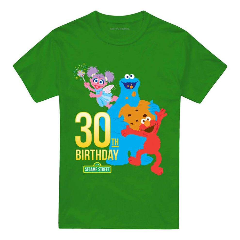 Sesame Street (3Xl, Kelly ) Unisex Adult T-Shirt Green