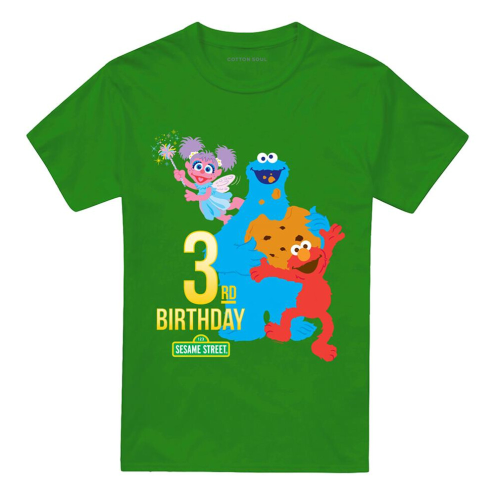 Sesame Street (Xl, Kelly ) Unisex Adult 3Rd Birthday T-Shirt Green