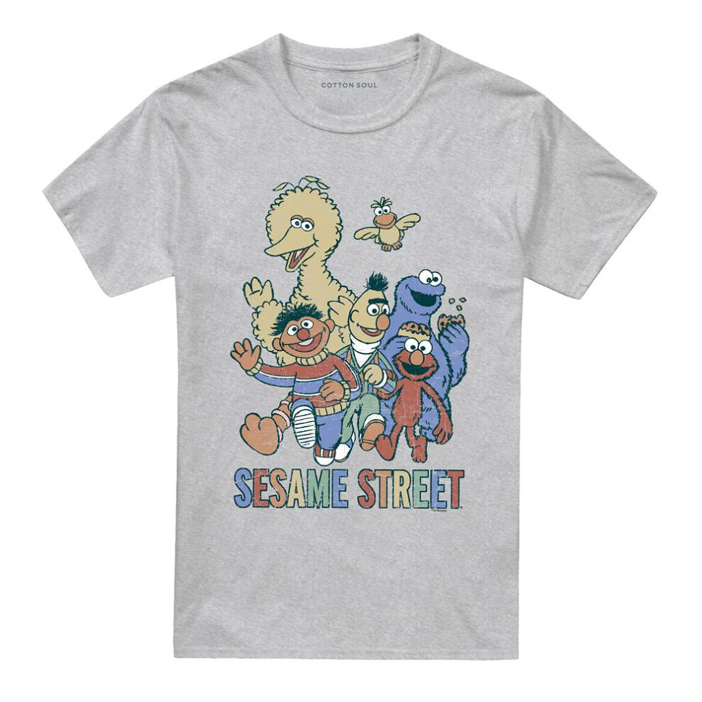 Sesame Street (L, Athletic Heather) Unisex Adult Group T-Shirt Multicoloured