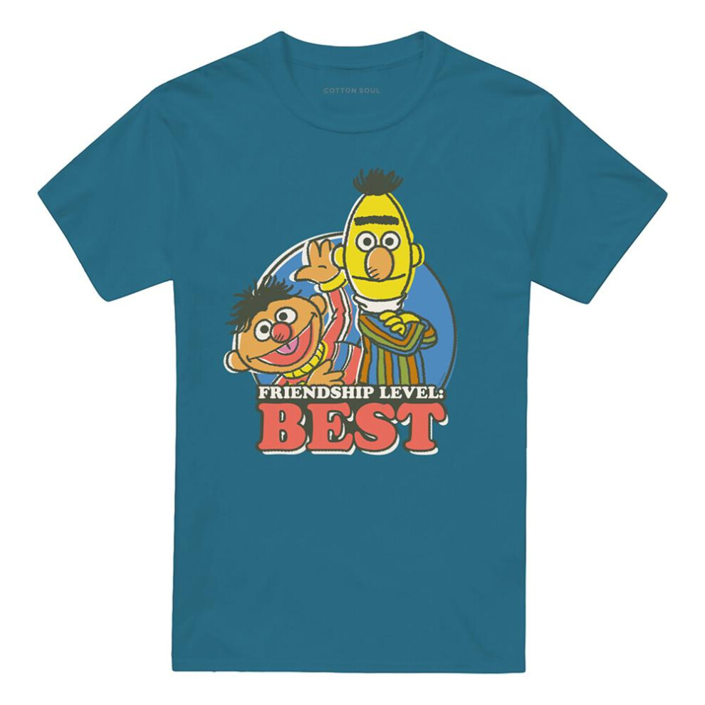 Sesame Street (Xxl, Slate) Unisex Adult Friendship Level: Best Bert & Ernie T-Shirt Multicoloured