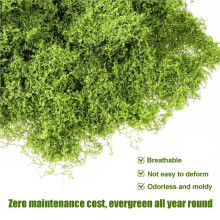 Artificial Moss Landscape Lawn False Moss Micro Landscape Layout Lawn Bonsai Pottery Paving Landscape Outdoor Indoor