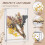 2 Pcs Acrylic Shadow Boxes Display Cases, Shadow Box DIY Frame Clear Acrylic Display Cases Wedding Memory Dried Flower 4