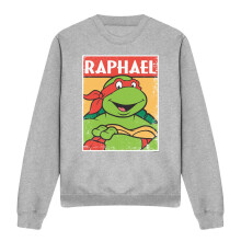 (S, Sport Heather) Teenage Mutant Ninja Turtles Unisex Adult Raphael Sweatshirt