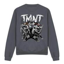 (S, Charcoal) Teenage Mutant Ninja Turtles Unisex Adult TMNT Team Sweatshirt