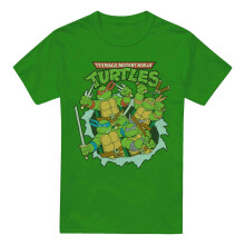 (M, Kelly Green) Teenage Mutant Ninja Turtles Mens Retro Group T-Shirt