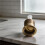Spülventilknopf für Skipper 45 Gold Dual-Flush-System - Einfache Selbstmontage 3