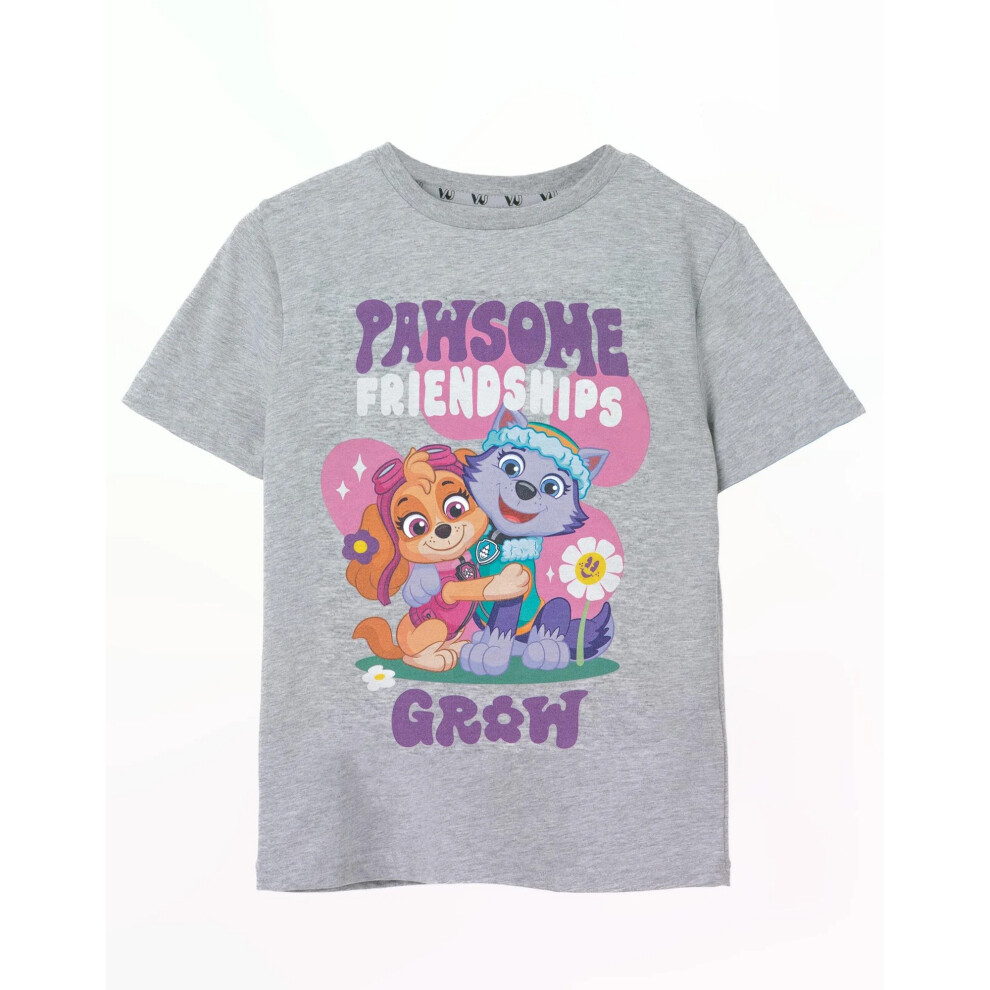 Paw Patrol (7-8 Years, ) Girls Pawsome Friendships Marl T-Shirt Grey