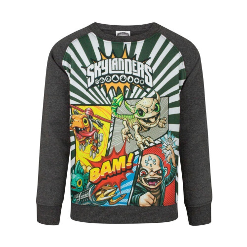 Skylanders (3-4 Years, Grey) Skylanders Boys Panel Sweatshirt