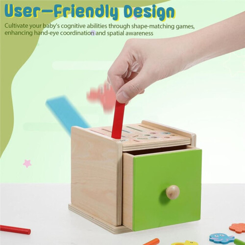 Wooden Color Sorting for Montessori Educational Shape Matching Puzzle Cognitive Development Game Early Learning 2
