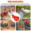 20 PCS Chicken Automatic Watering Cups Poultry Drinker Waterer Duck Quail Hen 2