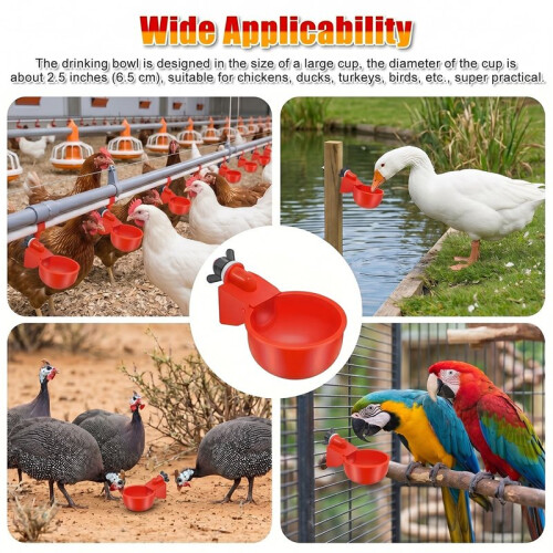 20 PCS Chicken Automatic Watering Cups Poultry Drinker Waterer Duck Quail Hen 1