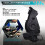 9802000480 0320AJ Timing Dust Cover for  DV6C 1.6  Engine 3