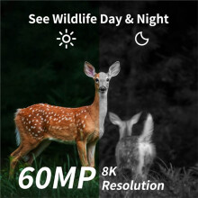 8K 60MP Wildtierkamera IP66 Regenfest Nachtsicht Echtzeit 4G Kamera für die Haussicherheit Drahtlose Außenkameras