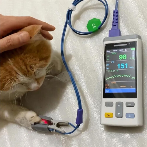 Veterinärmedizinischer Blutsauerstoffsättigungsmonitor für Herzfrequenz und Blutsauerstoffwerte (US-Stecker) 1