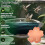Pure Copper Bird Bath Disk, Triple Point Support Design Lower Cleaning Frequency (1, Copper Flower) 4