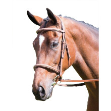 (X Full, Oak Brown) Avignon Hunter Leather Horse Cavesson Bridle
