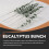 36 Pieces of Eucalyptus Stems Artificial Eucalyptus Leaf Stems True Gray Green Touch Leaf Branches 3