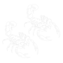 2X Car Decoration 3D Scorpion Decal Sticker Cool Vinyl Sticker, White 40cm