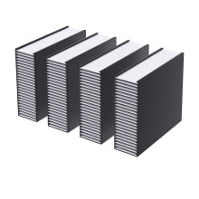 100-Pack Magnetisk EtiketthåLlare C-Kanals Magnetiska Etiketter, Magnetisk DatakorthåLlare med Genomskinligt Plastskydd