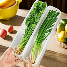 Boîte de Conservation pour Réfrigérateur, Accessoire de Conservation, Petites Boîtes de Conservation Alimentaire
