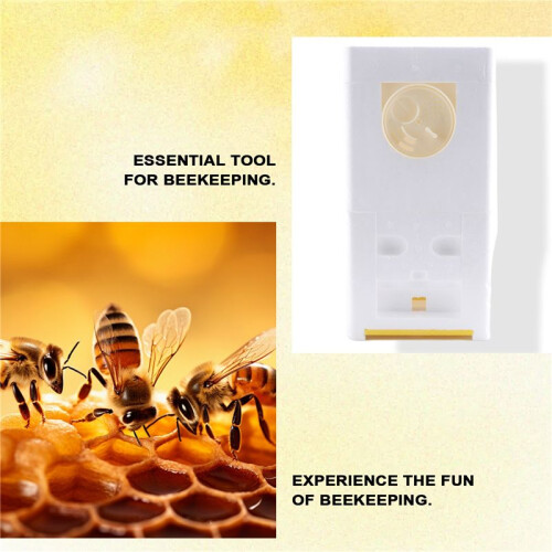 Honey Beehive Frames Beekeeping Box Bee Hive King Pollination Box Bee Mating Copulation Box Beekeeping Equipment 2