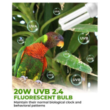 UVB 2.4 Bird Cage Light Combo Kit, 20W UVB Bird Light Bulb, Deep U-Shaped Lamp Fixture with Fluorescent Bulb E26 EU Plug
