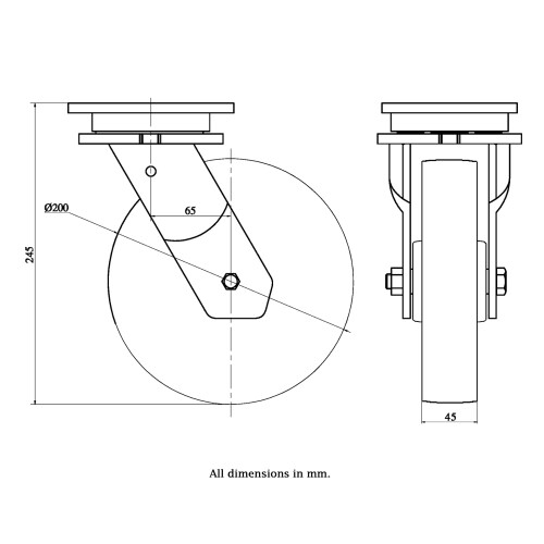 Parnells 200mm swivel castor with grey cast iron wheel 1