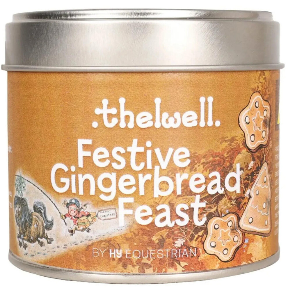Hy Brown Thelwell Collection Festive Gingerbread Feast Candle
