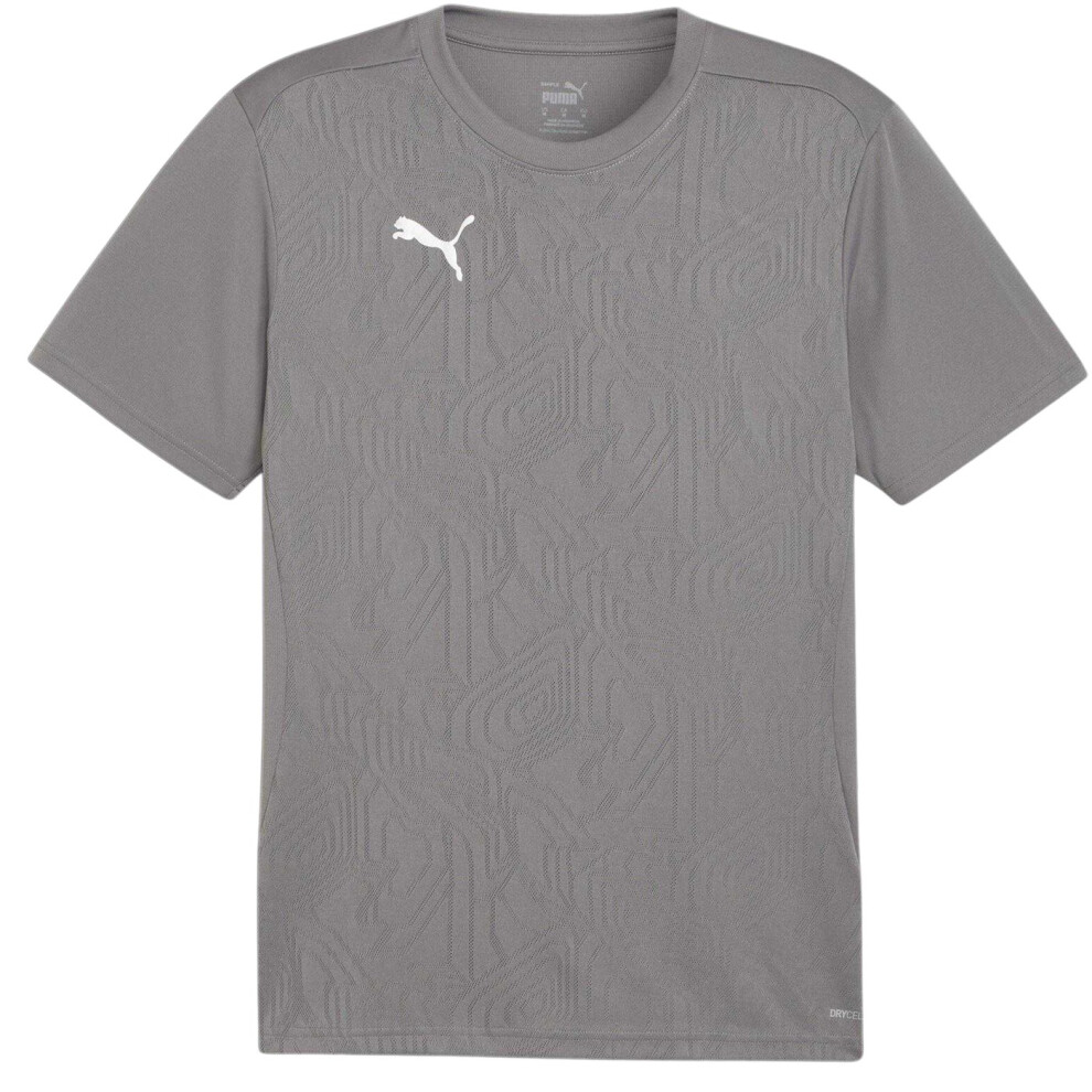 Puma (Xxl, Iron) Mens Teamfinal Training T-Shirt Multicoloured