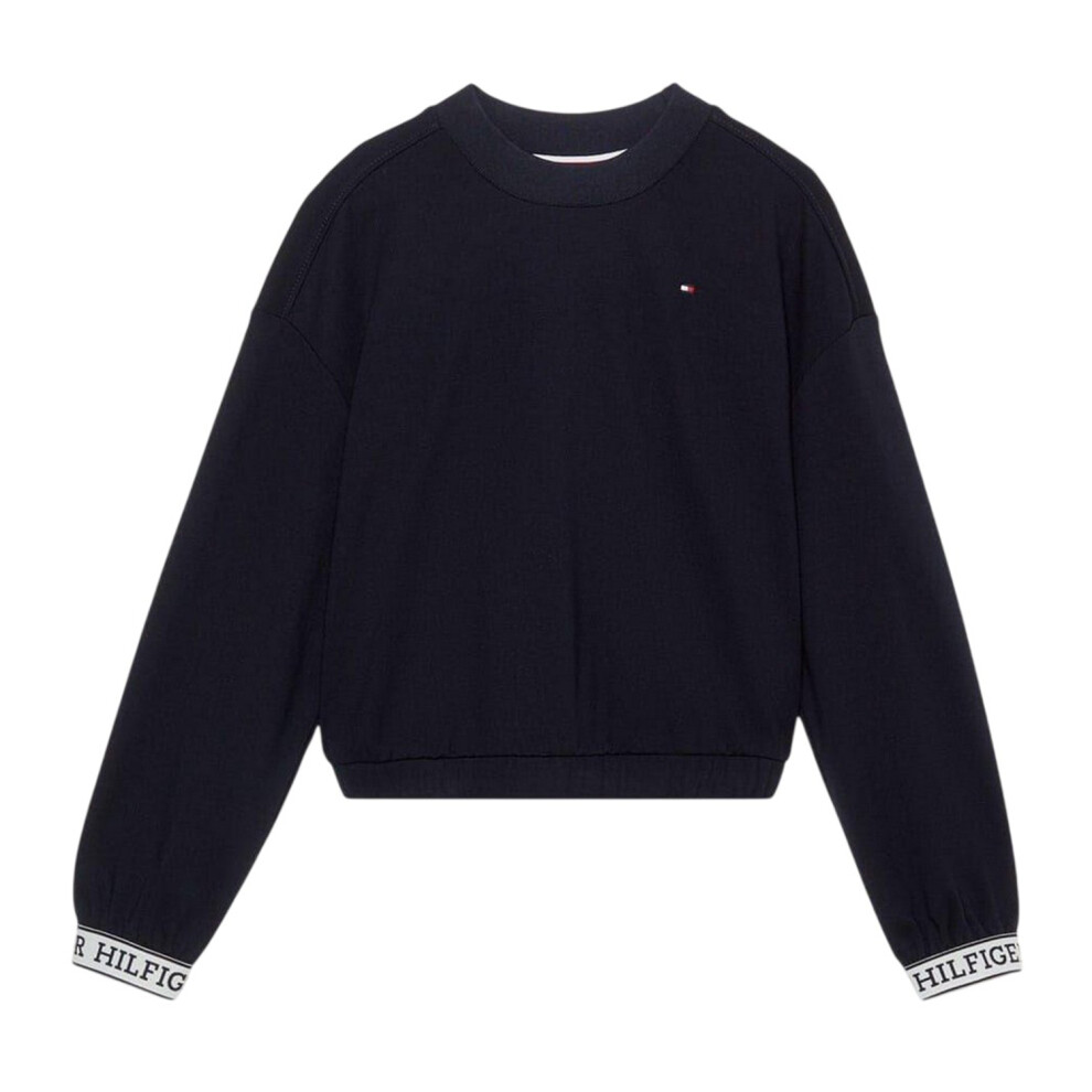 Tommy Hilfiger (10 Years, Desert Sky) Childrens/Kids Tape Crew Neck Jumper Multicoloured