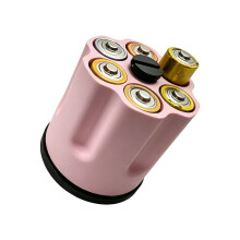Le boîtier organisateur de batterie créatif stocke 6 pièces-Rose