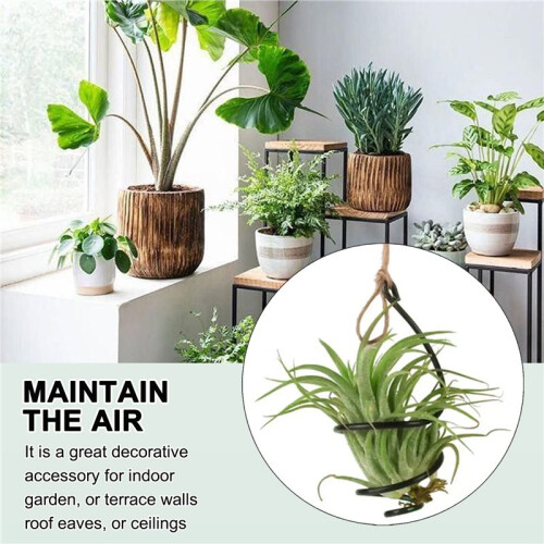 Air Pineapple Hook Hanging Flower Stand Pots Display Hanger Holder Iron 1