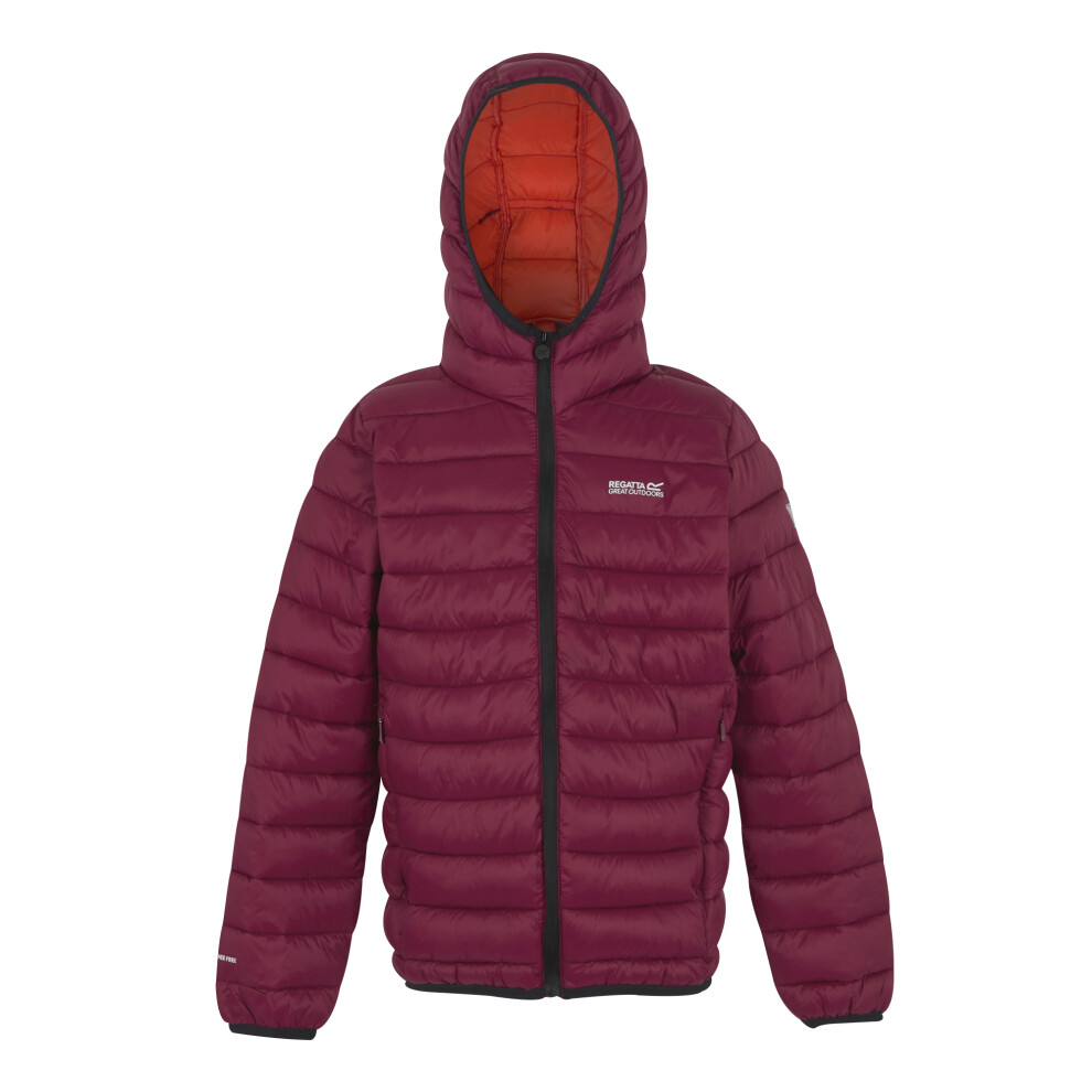 Regatta (15-16 Years, Tangerine Tango/Dark Pimento) Childrens/Kids Marizion Hooded Padded Jacket Multicoloured
