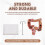 Teaching Model,Human Large Intestine Anatomy Model Visceral Lesion Model Human Digestive System Learning Model 6