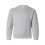 Hanes Ecosmart Youth Crewneck Sweatshirt 1