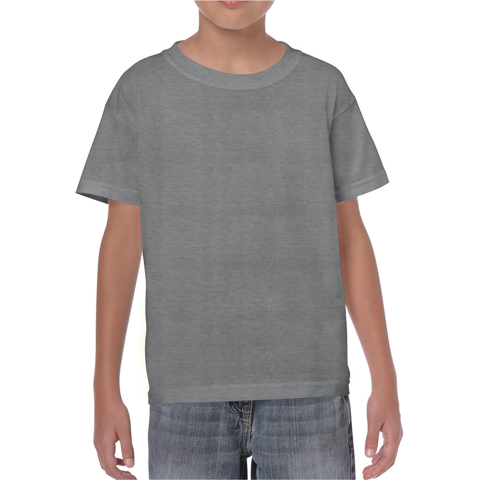 Gildan (12-13 Years, Graphite) Childrens/Kids Heavy Cotton Heather T-Shirt Multicoloured